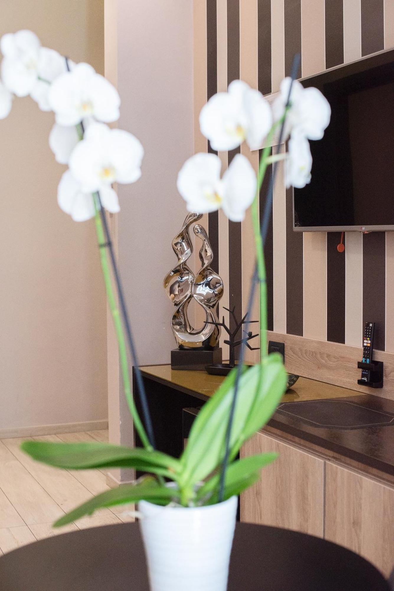 Mokasuite Spaccanapoli Bed & Breakfast